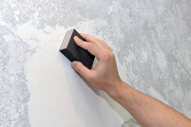 Best Mold Documentation for Insurance Claims  in Gman, IL