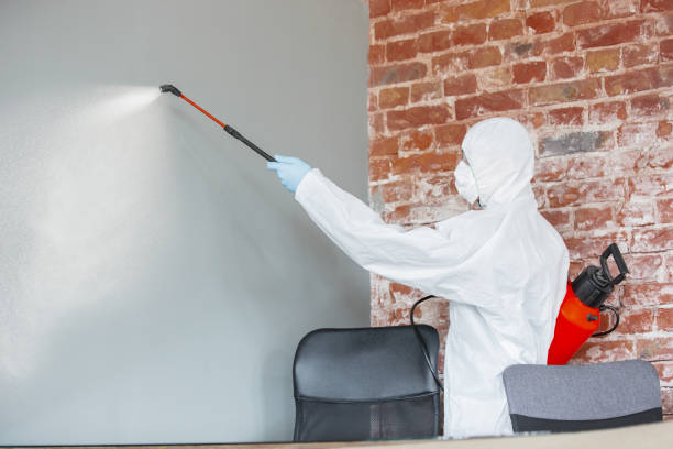 Best Environmental Consulting for Mold Prevention  in Gman, IL