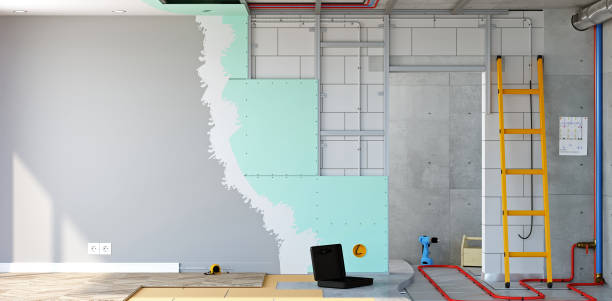 Best Asbestos and Lead Testing During Mold Inspection  in Gman, IL
