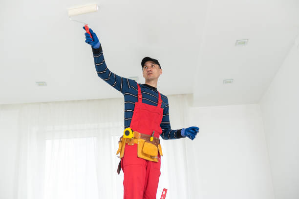 Best Black Mold Removal  in Gman, IL