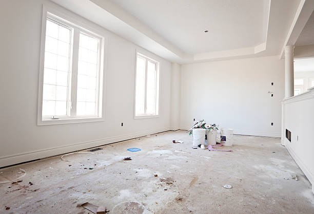 Best Mold Damage Restoration  in Gman, IL