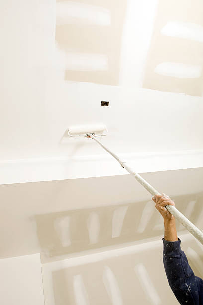 Best Mold Remediation for Vacation Homes  in Gman, IL