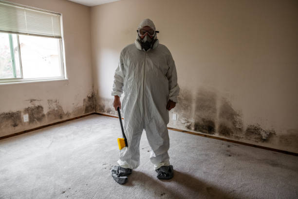 Best Airborne Mold Testing  in Gman, IL