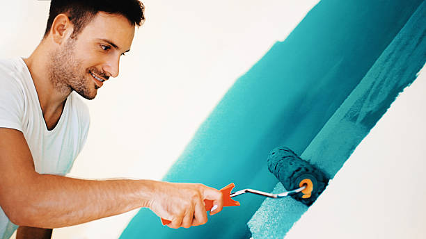 Professional Mold Removal in Gilman, IL
